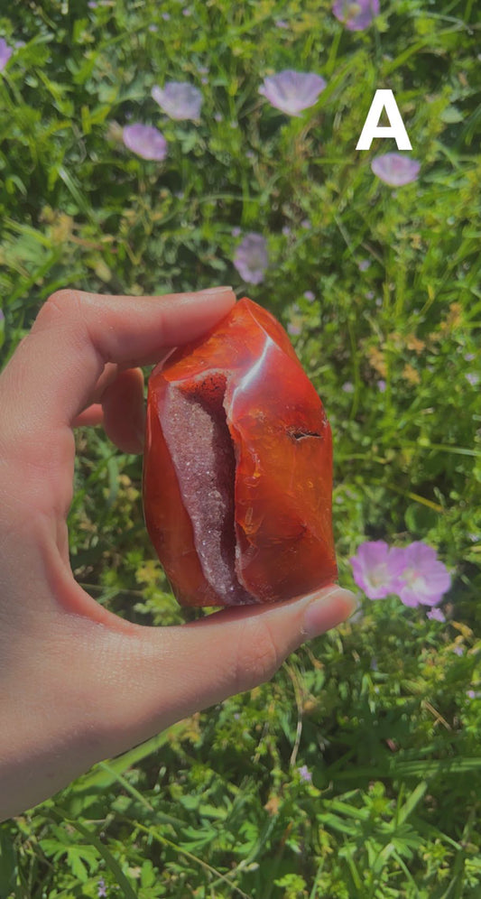 Carnelian Flames