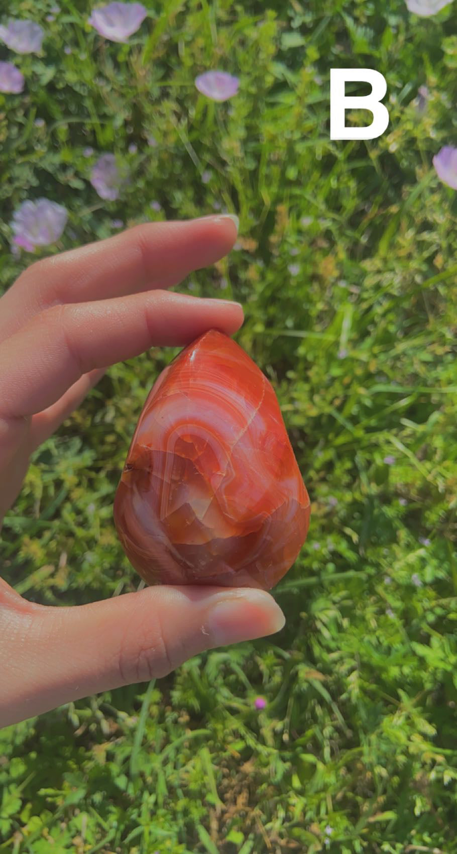 Carnelian Flames