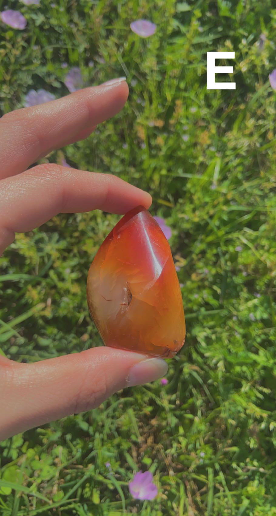 Carnelian Flames