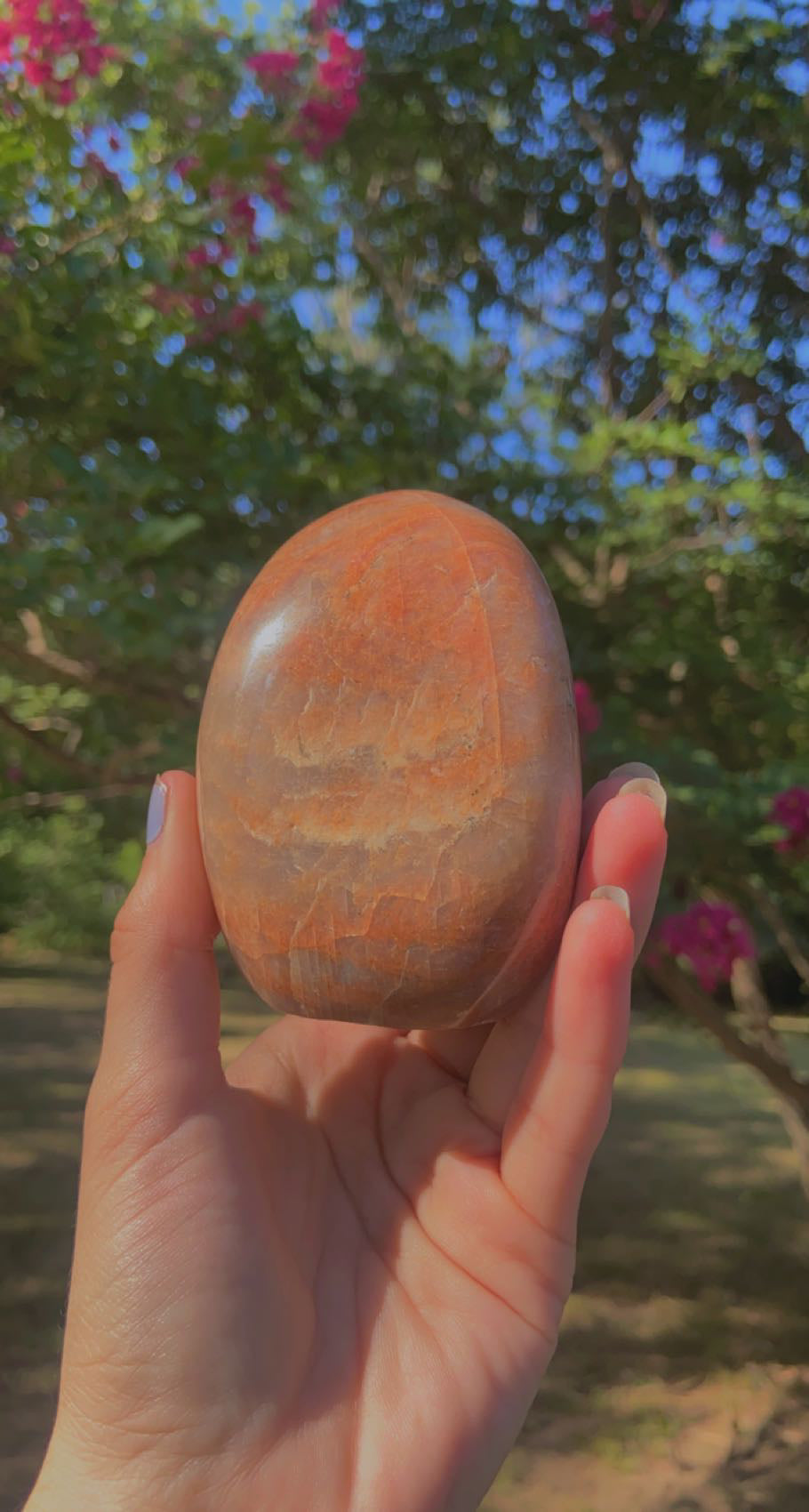 Peach Moonstone Free forms