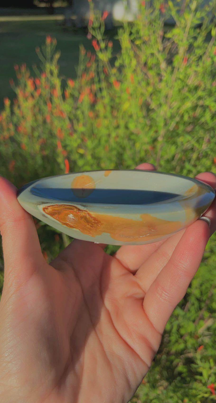 Polychrome Bowls