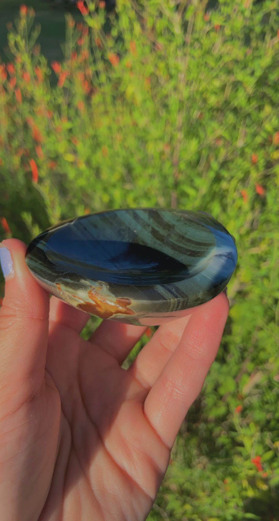 Polychrome Bowls